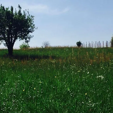 Casa Daisy Casa de hóspedes