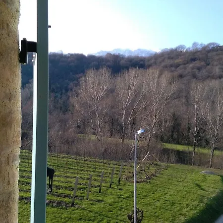 Casa Daisy 帕代尔诺德尔格拉帕